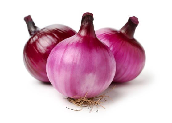Onion variety 